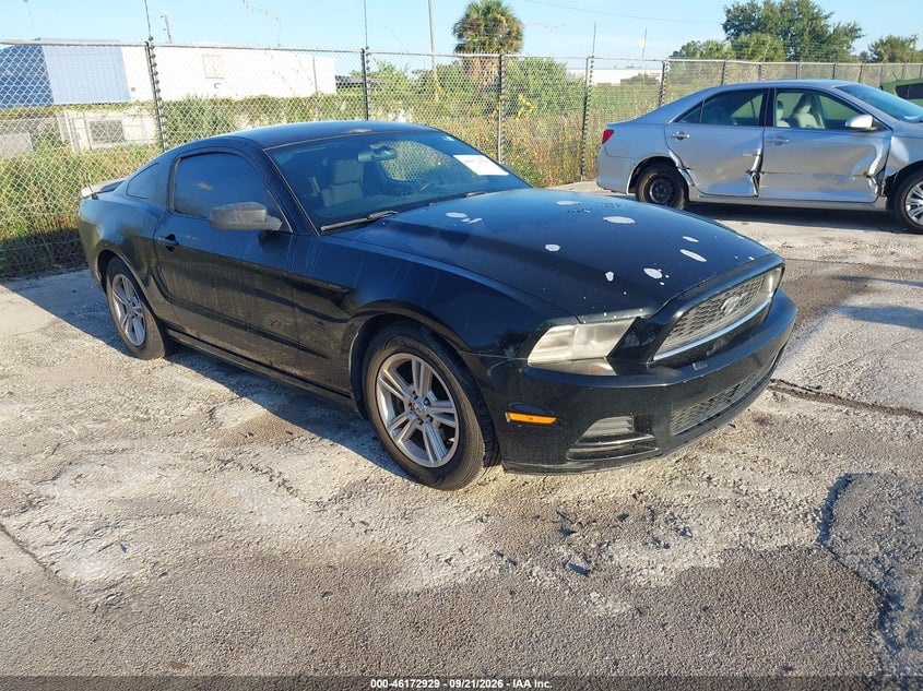 2013 FORD MUSTANG V6 | 1ZVBP8AM0D5256438 | UPCARS