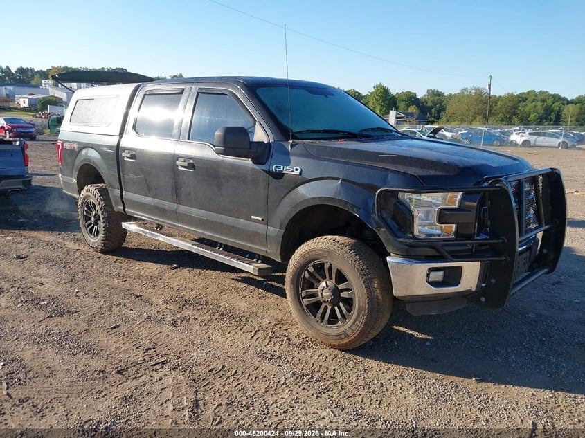 2015 FORD F-150 XLT | 1FTEW1EG5FKD83804 | UPCARS