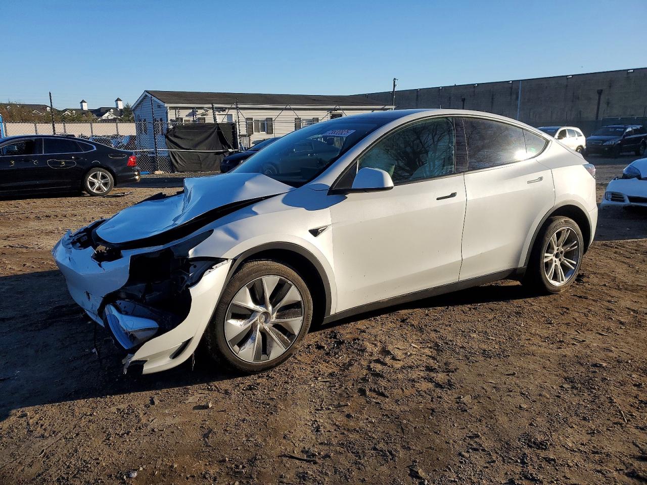 2023 TESLA MODEL Y | 7SAYGDEE4PF674287 | UPCARS