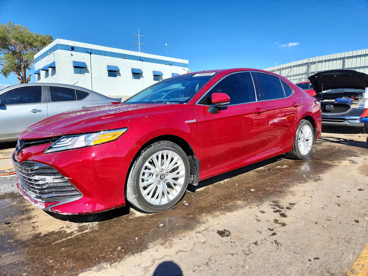 2019 TOYOTA CAMRY SOLA XLE | 4T1B21HK9KU013139 | UPCARS