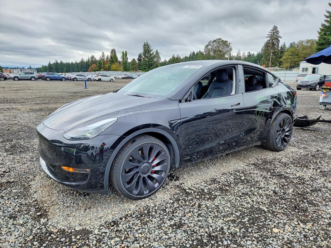 2025 TESLA MODEL Y | 7SAYGDEF6SF215781 | UPCARS