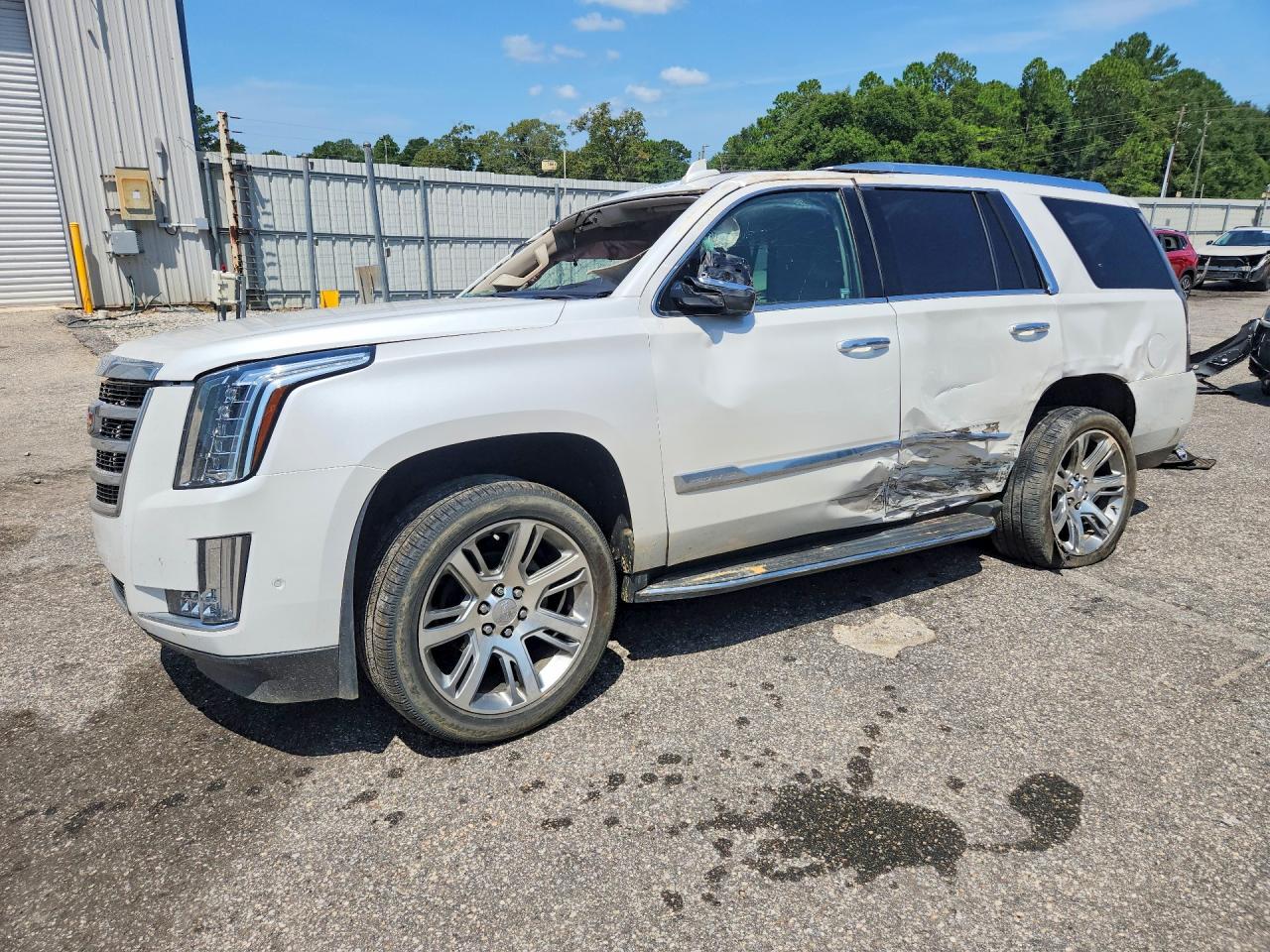 2019 CADILLAC ESCALADE LUXURY | 1GYS3BKJ9KR237385 | UPCARS