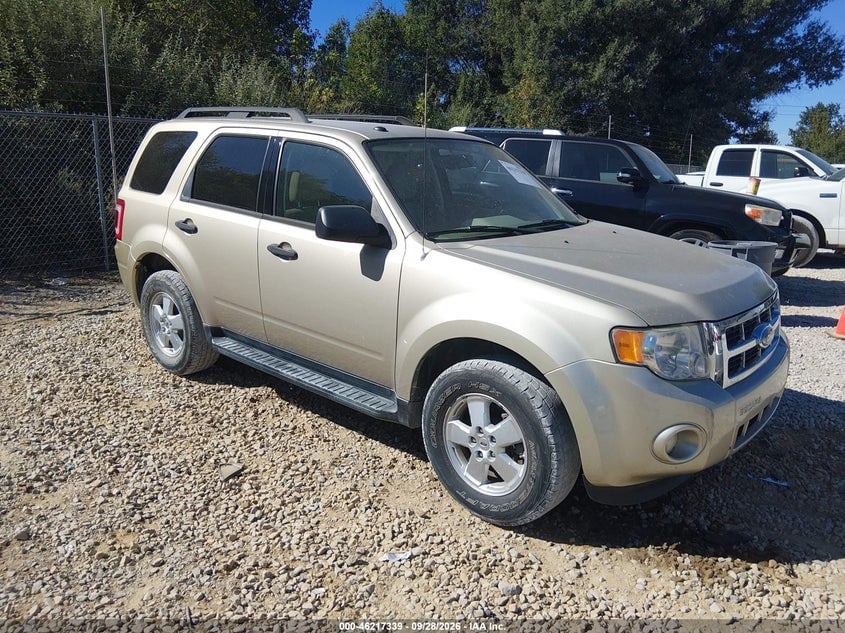 2011 FORD ESCAPE XLT | 1FMCU0DG4BKA60665 | UPCARS