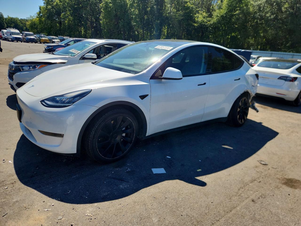 2023 TESLA MODEL Y | 7SAYGDEE5PA055145 | UPCARS
