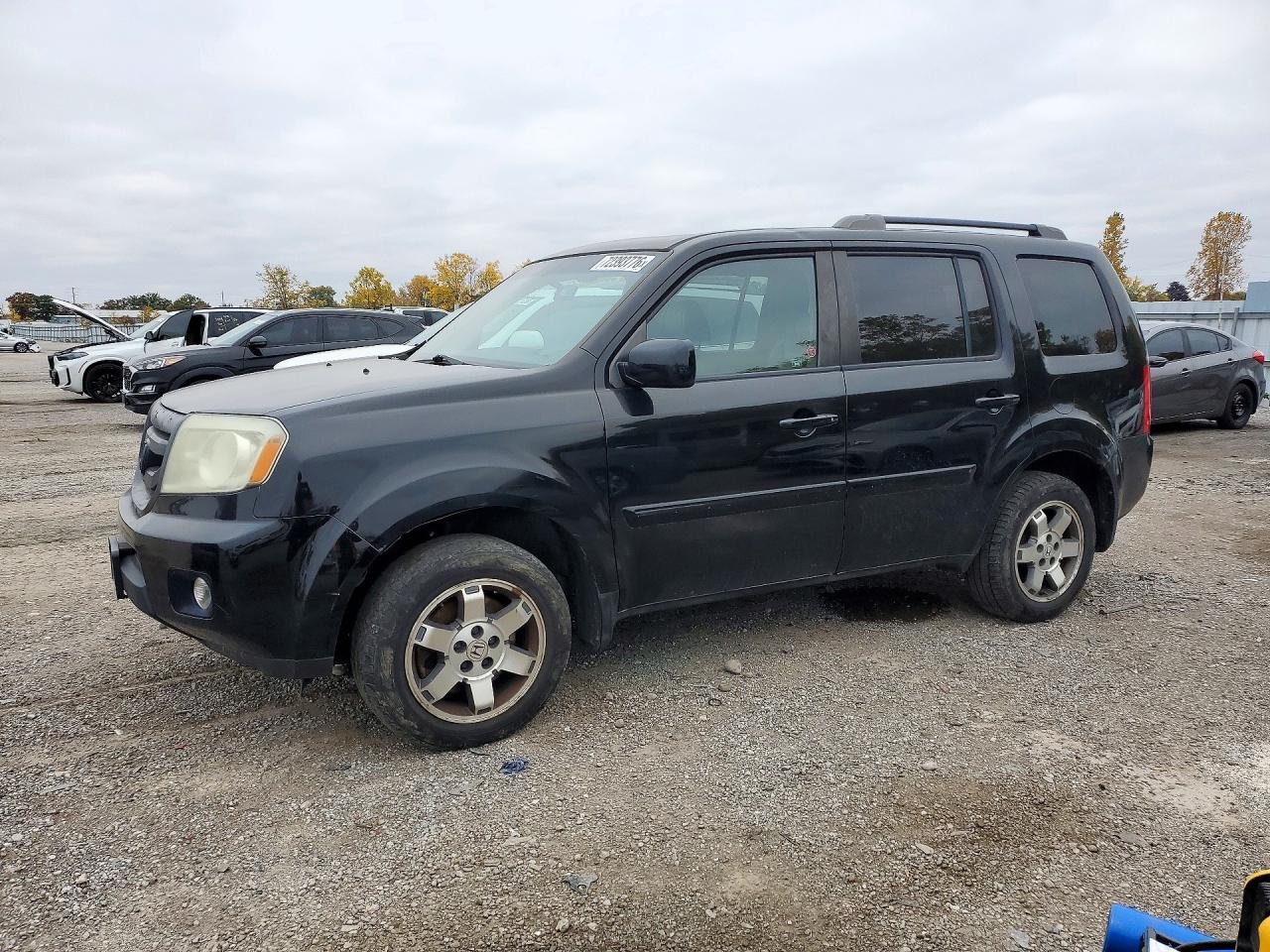 2011 HONDA PILOT EXL | 5FNYF4H53BB506421 | UPCARS