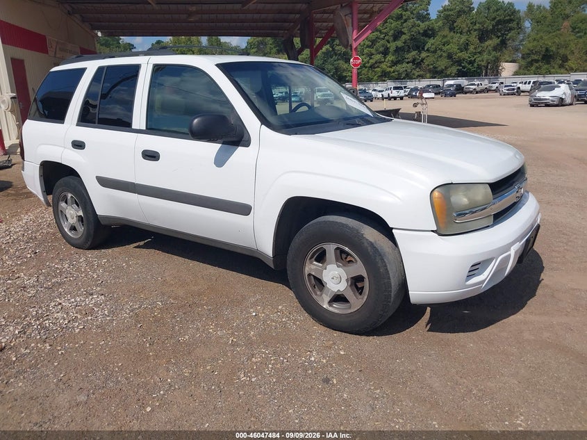 2005 CHEVROLET TRAILBLAZER LS | 1GNDS13S352157247 | UPCARS
