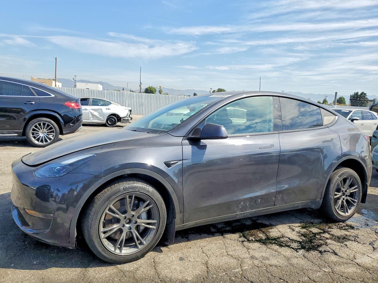 2025 TESLA MODEL Y | 7SAYGDEE4SF216709 | UPCARS