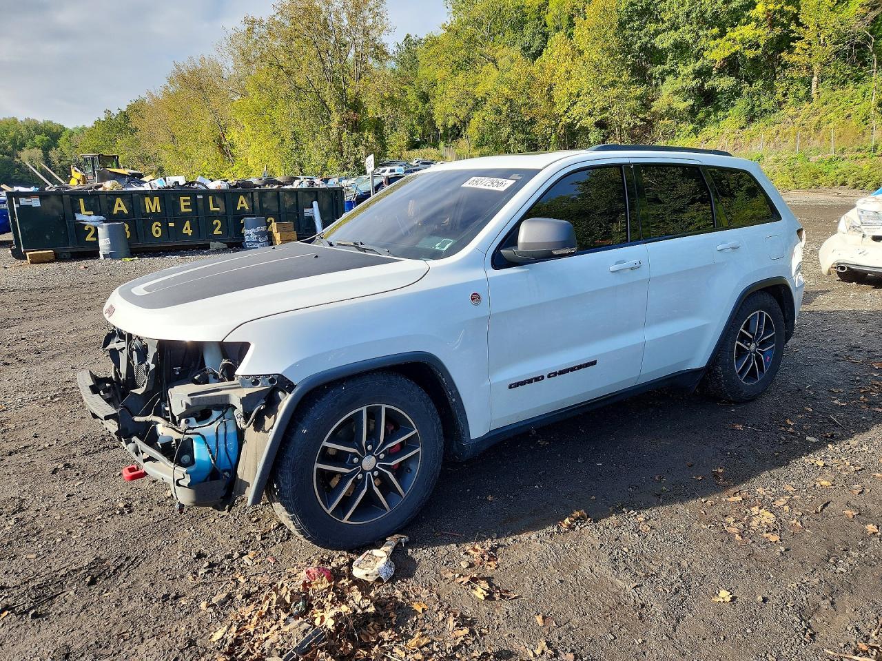 2017 JEEP CHEROKEE TRAILHAWK | 1C4RJFLG9HC663187 | UPCARS