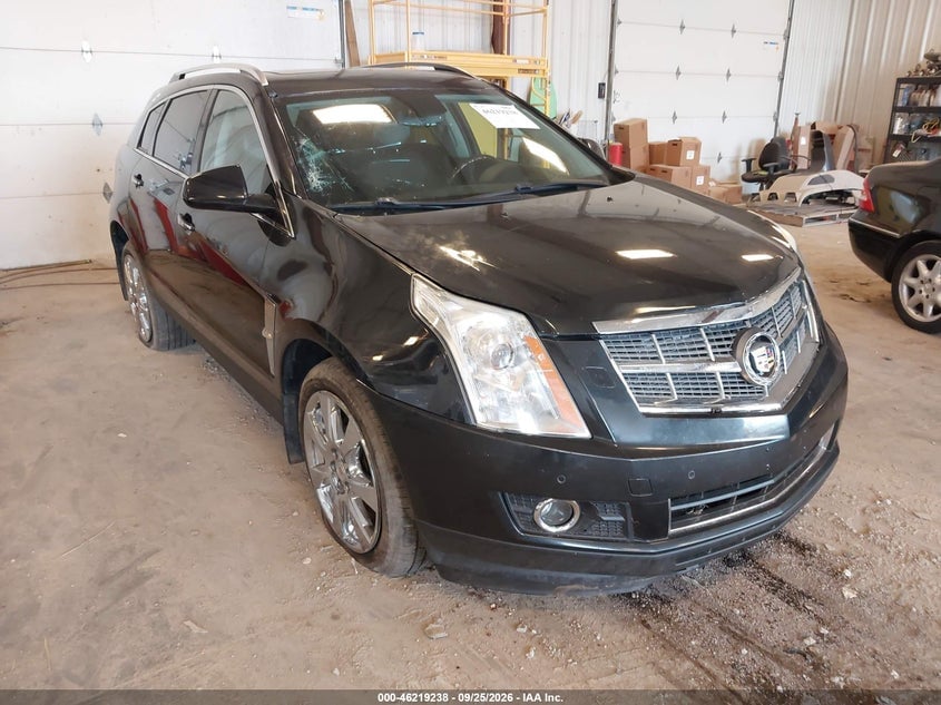 2011 CADILLAC SRX PREMIUM COLLECTION | 3GYFNFEY7BS509862 | UPCARS