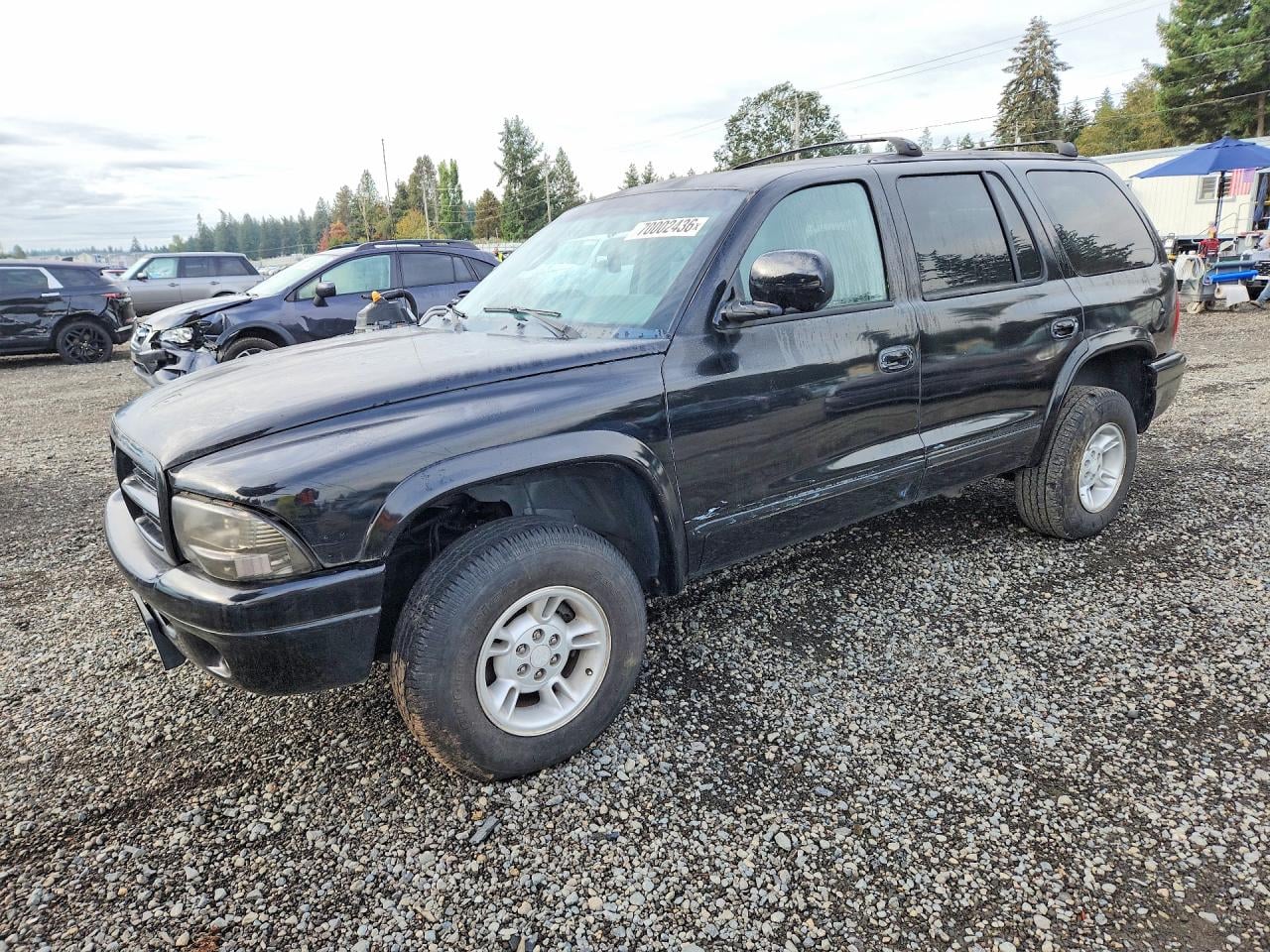 1999 DODGE DURANGO | 1B4HS28Z5XF655352 | UPCARS