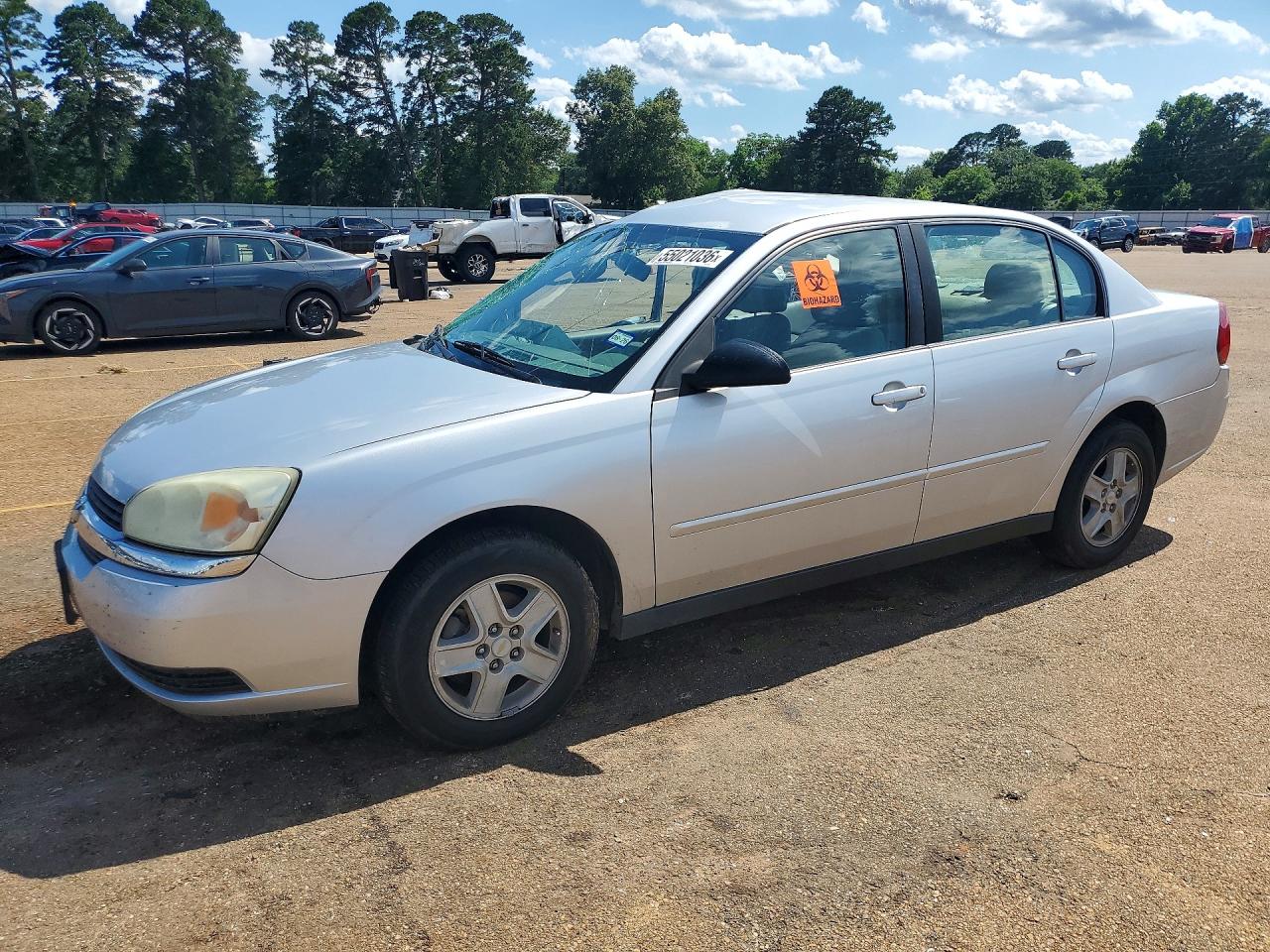 2005 CHEVROLET MALIBU LS | 1G1ZT528X5F222749 | UPCARS