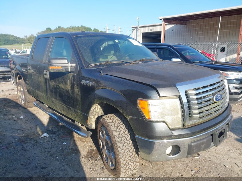 2010 FORD F-150 FX4/HARLEY-DAVIDSON/KING RANCH/LARIAT/PLATINUM/XL/XLT | 1FTFW1EV6AFC18655 | UPCARS