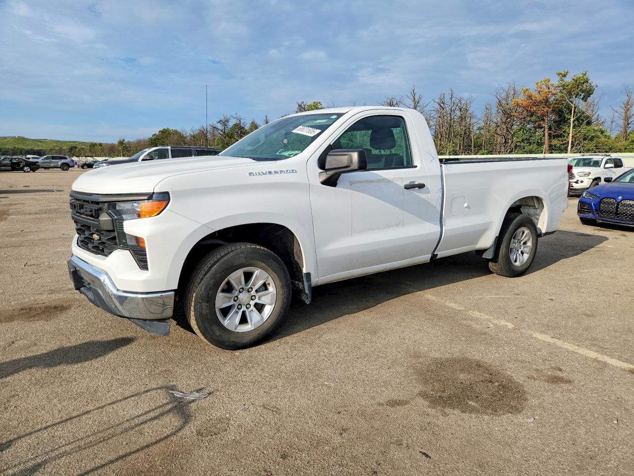 2022 CHEVROLET SILVERADO C1500 | 3GCNAAED9NG554693 | UPCARS