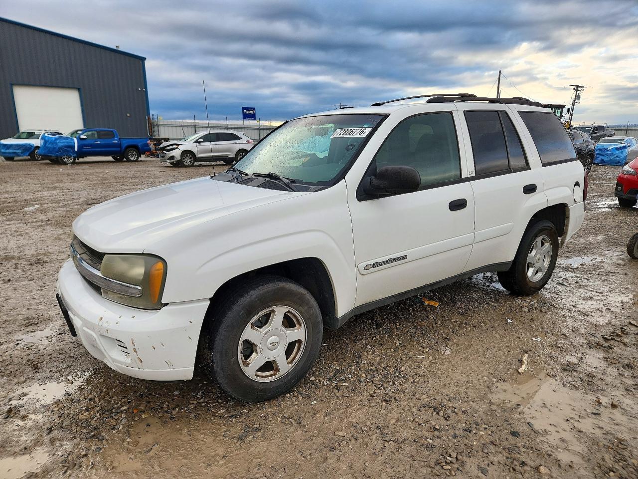 2002 CHEVROLET TRAILBLAZE | 1GNDT13S322427344 | UPCARS