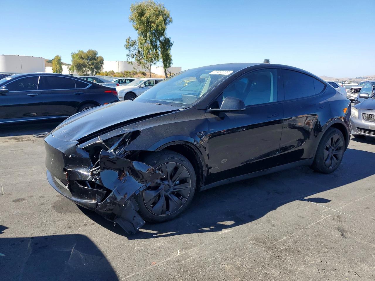 2024 TESLA MODEL Y | 7SAYGDED8RF123452 | UPCARS