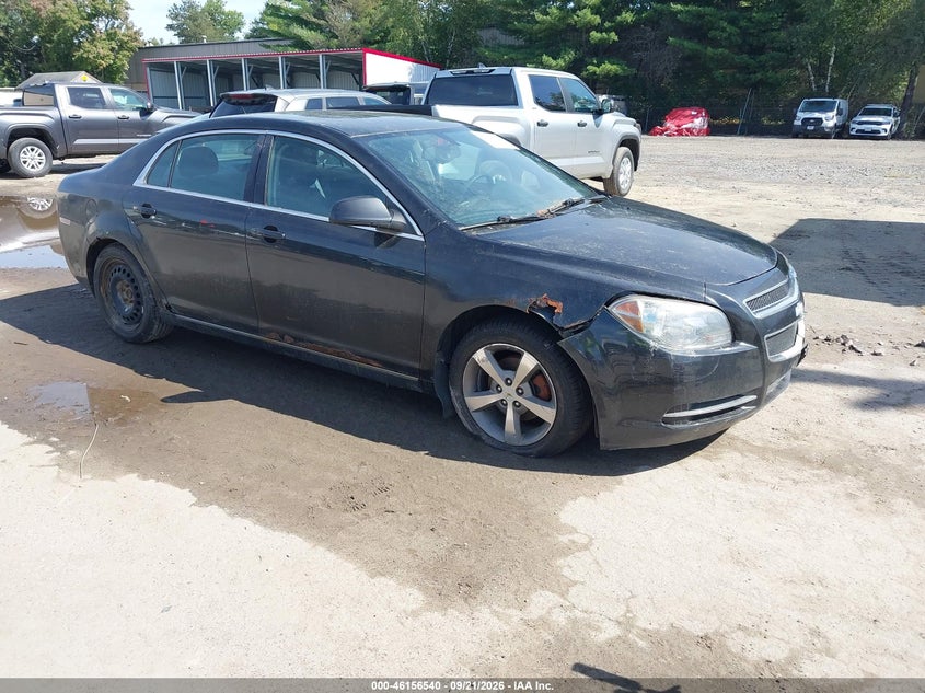 2011 CHEVROLET MALIBU 1LT | 1G1ZC5E1XBF200339 | UPCARS