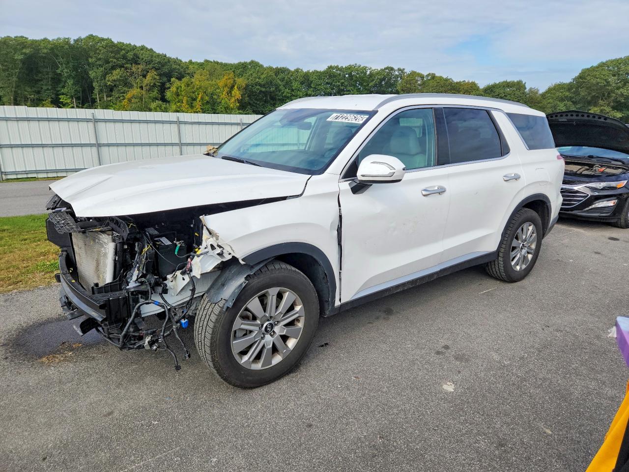 2025 HYUNDAI PALISADE SEL | KM8R24GE5SU829101 | UPCARS