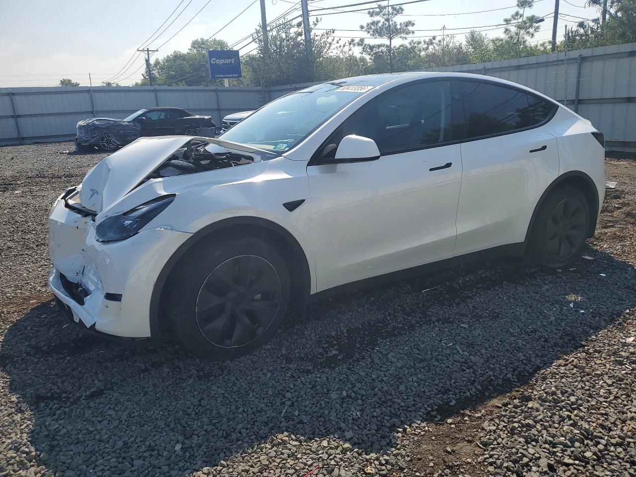 2024 TESLA MODEL Y | 7SAYGDEE7RA311739 | UPCARS