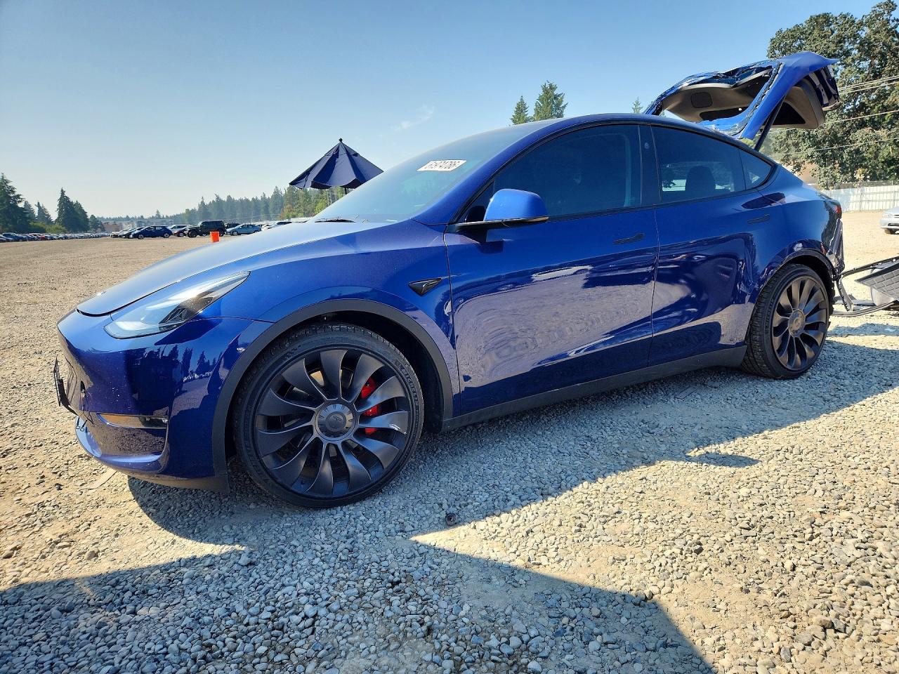 2023 TESLA MODEL Y | 7SAYGDEF6PF917574 | UPCARS