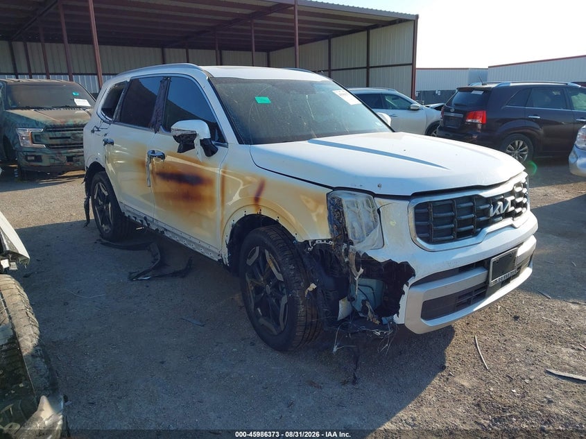 2025 KIA TELLURIDE S | 5XYP64GC4SG591791 | UPCARS