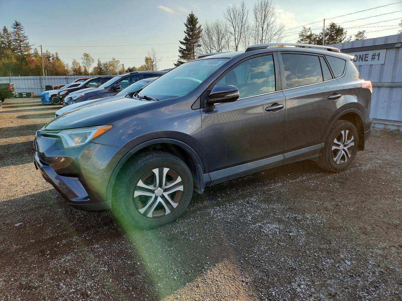 2016 TOYOTA RAV4 LE | 2T3ZFREV5GW292779 | UPCARS