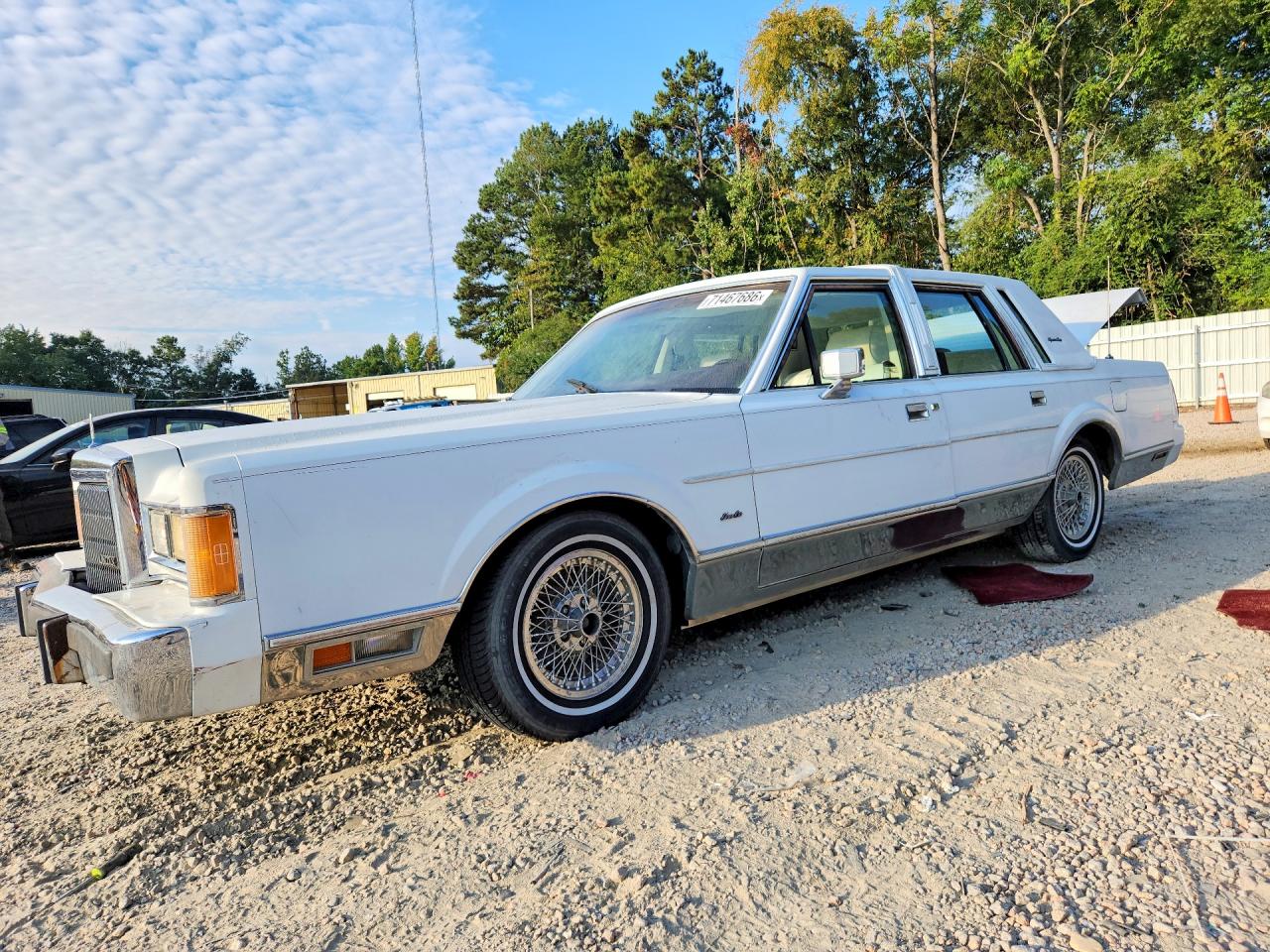 1989 LINCOLN TOWNCAR SIGNATURE | 1LNBM82F2KY806421 | UPCARS