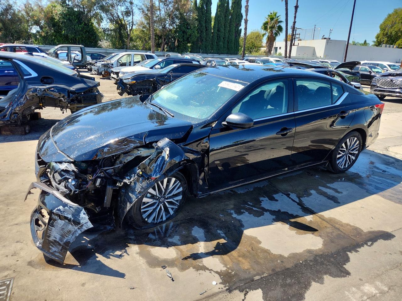 2026 NISSAN ALTIMA SV | 1N4BL4DV5TN310171 | UPCARS