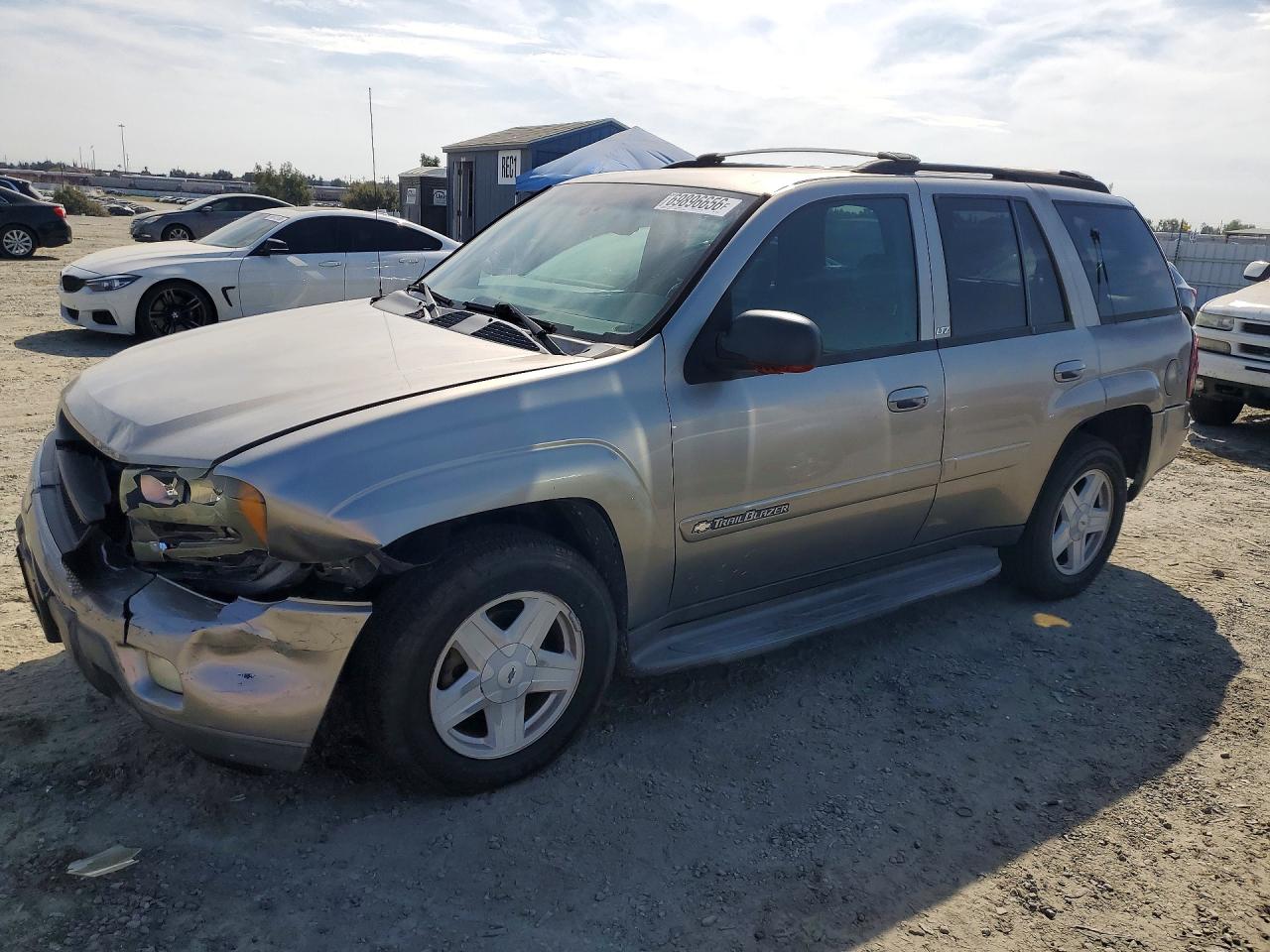 2002 CHEVROLET TRAILBLAZE | 1GNDT13S222394689 | UPCARS