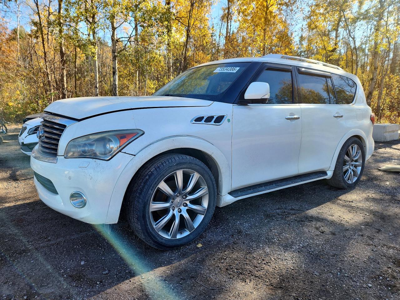 2011 INFINITI QX56 BASE | JN8AZ2NE1B9004829 | UPCARS