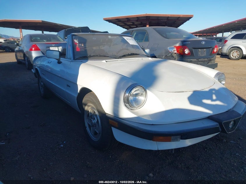 1989 ALFA ROMEO SPIDER GRADUATE | ZARBA5644K1063506 | UPCARS