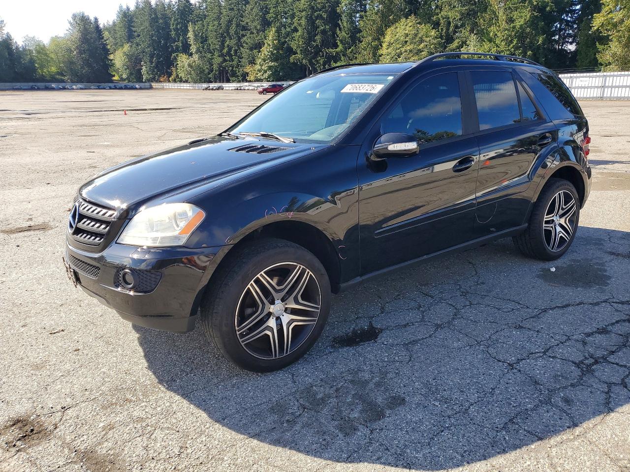 2006 MERCEDES-BENZ M-CLASS 350 | 4JGBB86E16A090049 | UPCARS