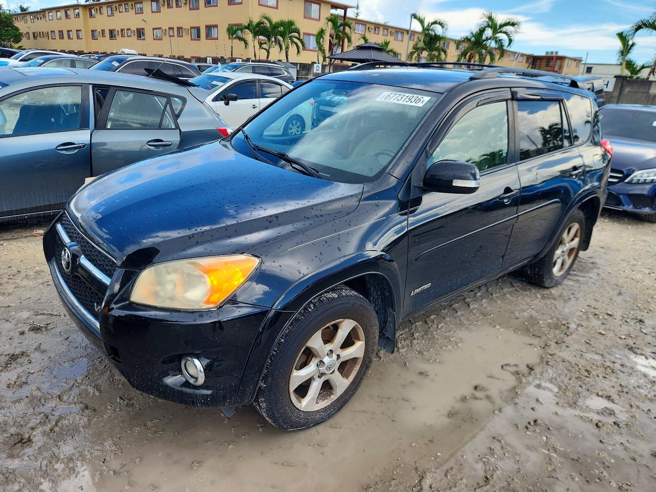 2010 TOYOTA RAV4 LIMITED | 2T3DK4DV0AW034512 | UPCARS