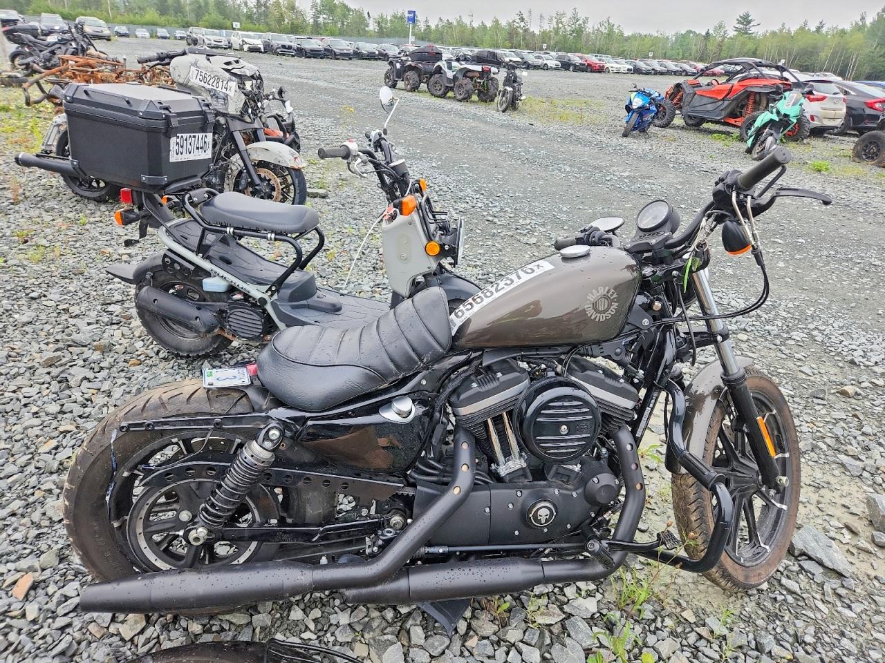 2020 HARLEY-DAVIDSON XL N | 5HD4LE231LB403532 | UPCARS