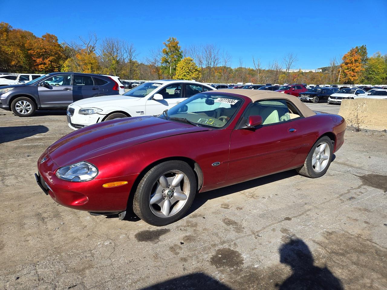 1997 JAGUAR XK8 | SAJGX2747VC003841 | UPCARS