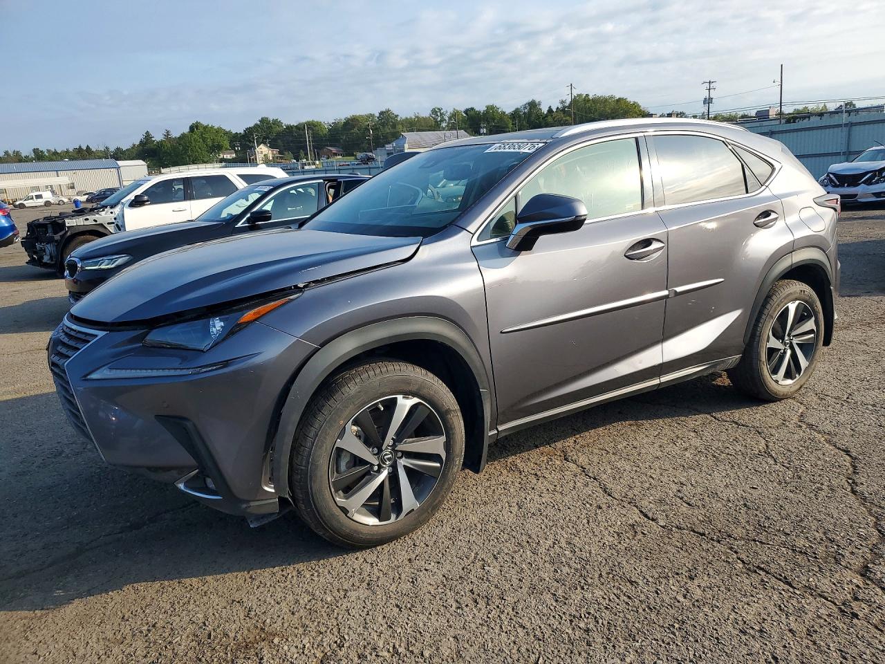 2020 LEXUS NX 300 | JTJGARDZ0L5004403 | UPCARS