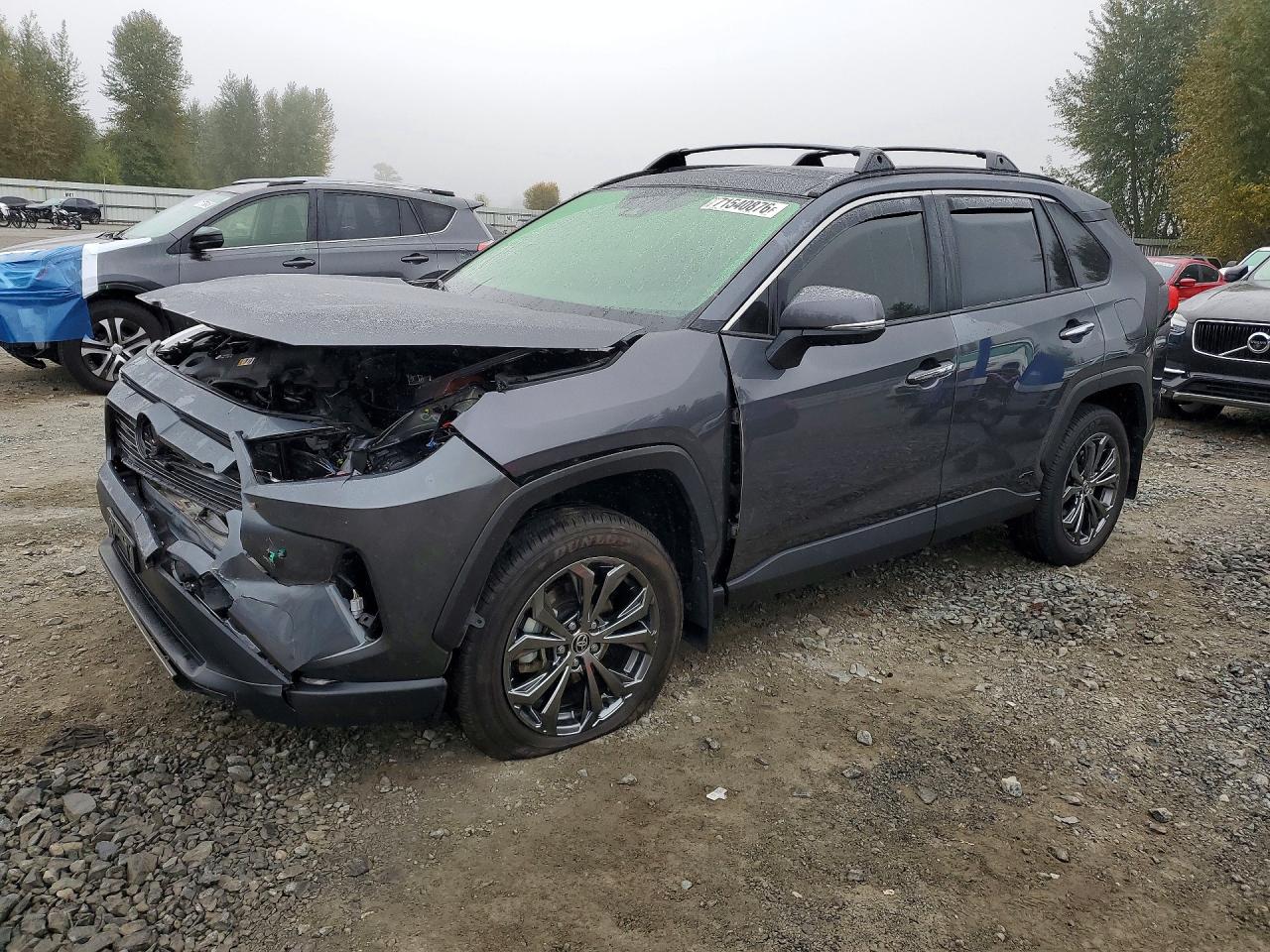 2024 TOYOTA RAV4 LIMITED | JTMD6RFV6RD149428 | UPCARS