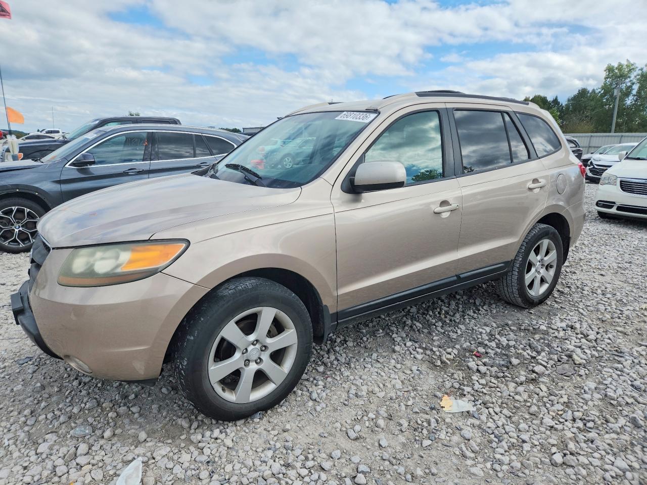 2007 HYUNDAI SANTA FE | 5NMSH73E77H040989 | UPCARS