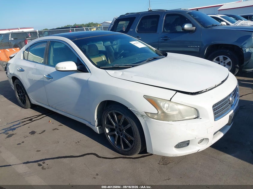 2011 NISSAN MAXIMA 3.5 SV | 1N4AA5AP2BC824633 | UPCARS