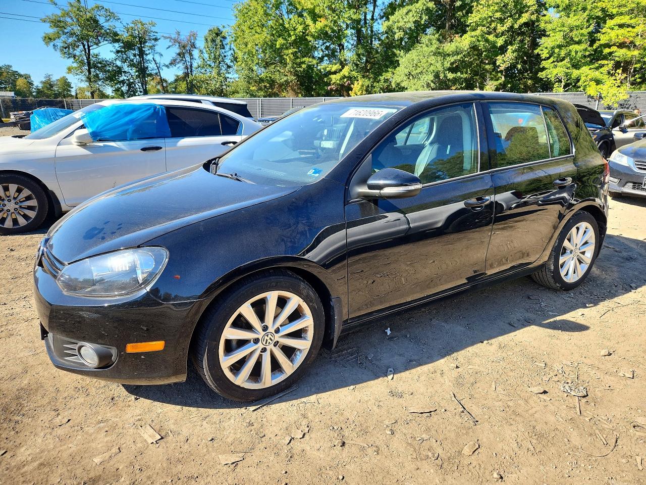 2014 VOLKSWAGEN GOLF | WVWNM7AJ4EW010741 | UPCARS