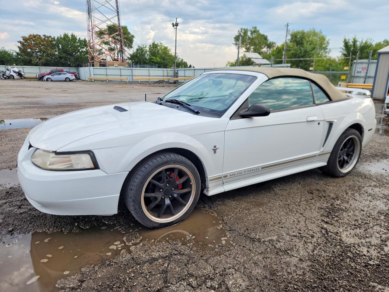 2001 FORD MUSTANG | 1FAFP444X1F214668 | UPCARS