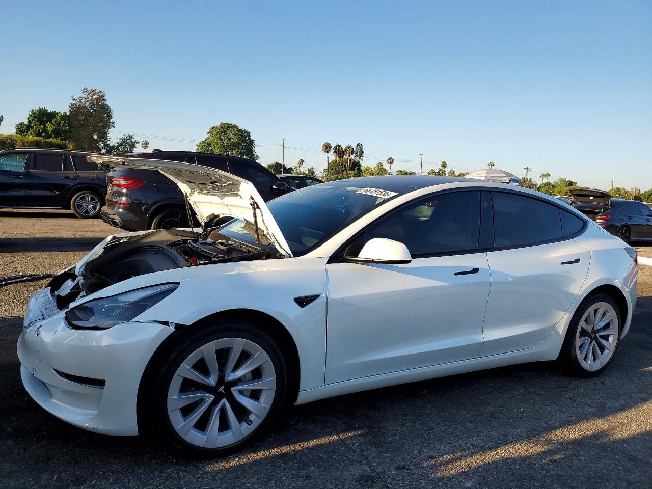 2023 TESLA MODEL 3 | 5YJ3E1EA7PF510587 | UPCARS