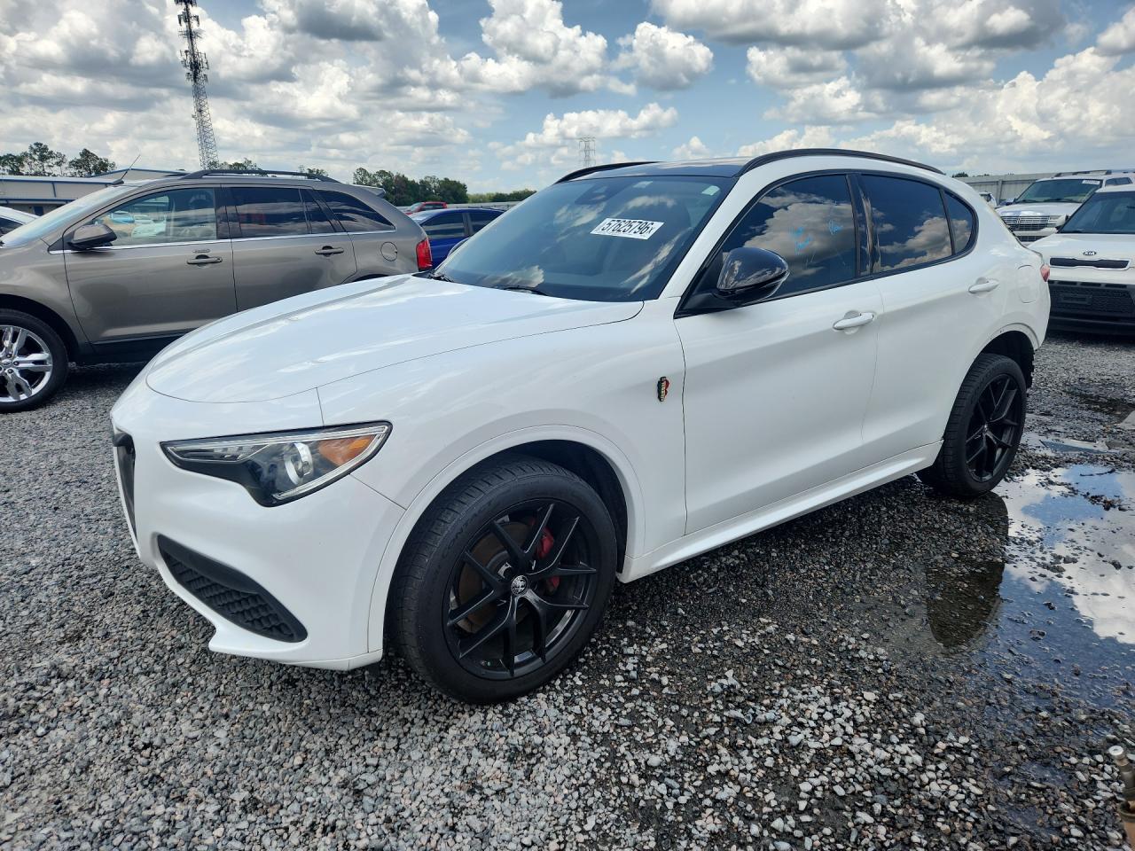 2020 ALFA ROMEO STELVIO | ZASPAJAN7L7C88825 | UPCARS