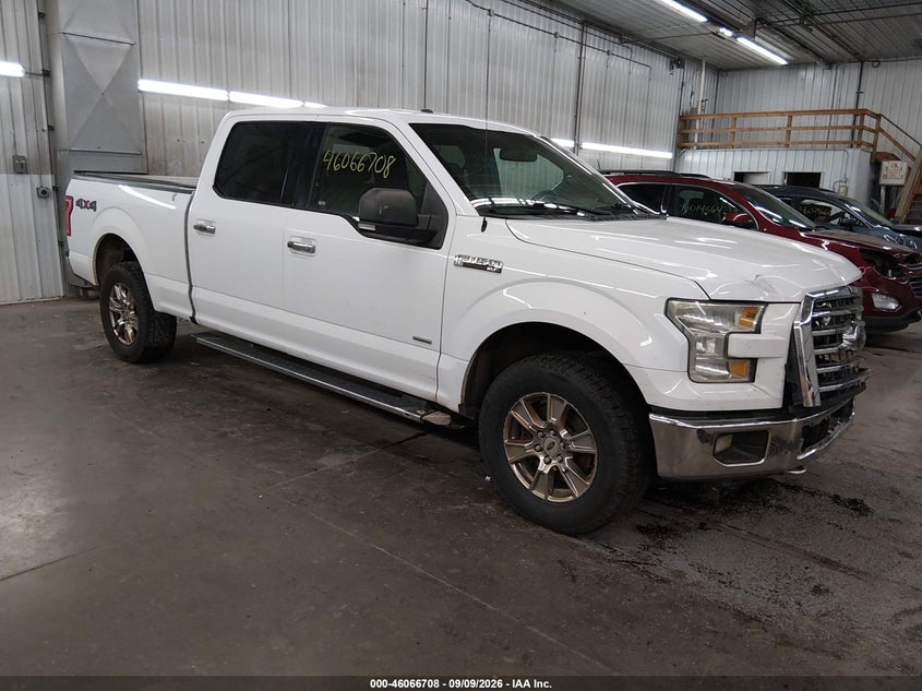 2015 FORD F-150 XLT | 1FTFW1EG3FKF05497 | UPCARS
