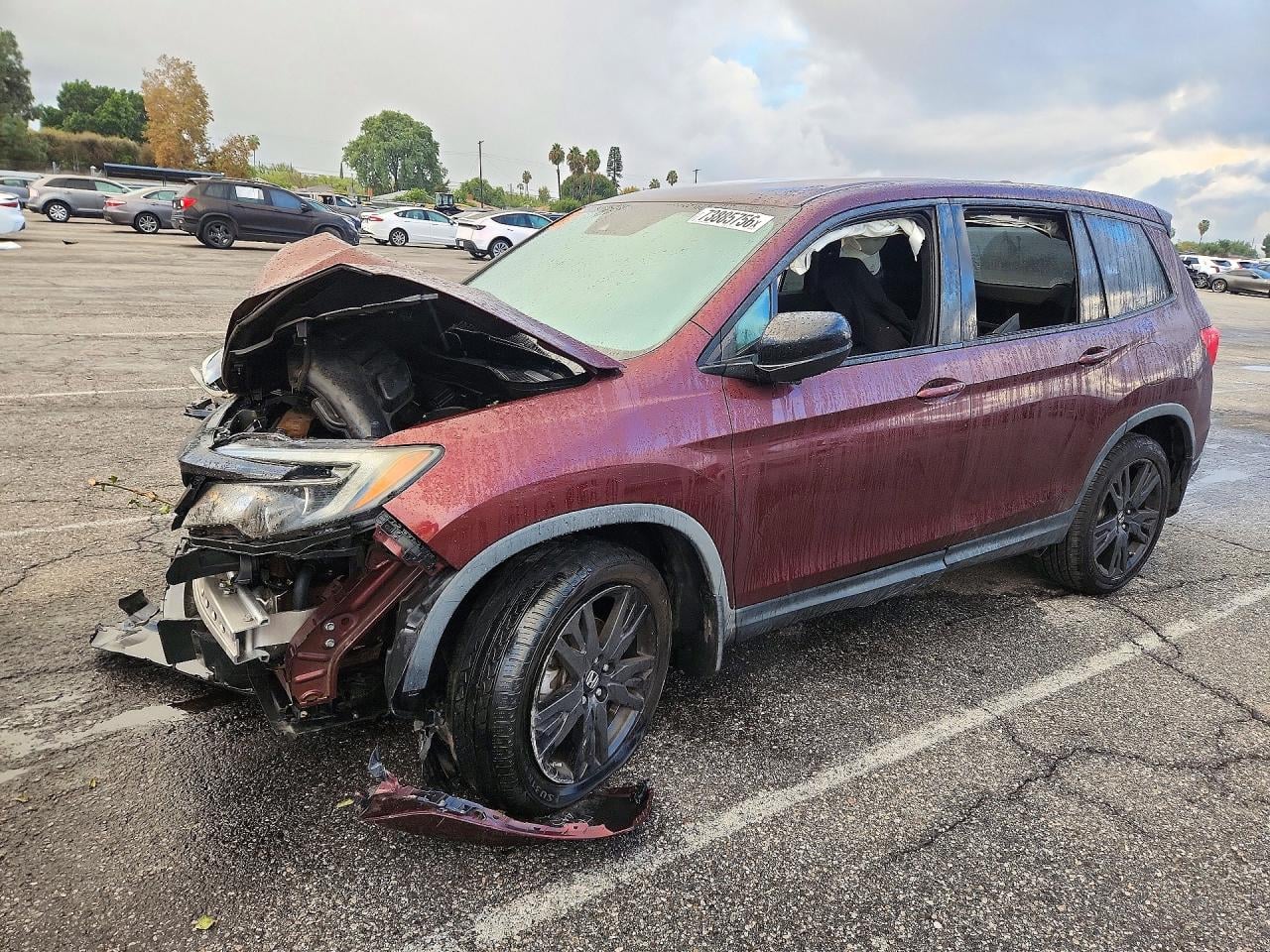 2019 HONDA PAS SPORT | 5FNYF7H21KB006264 | UPCARS