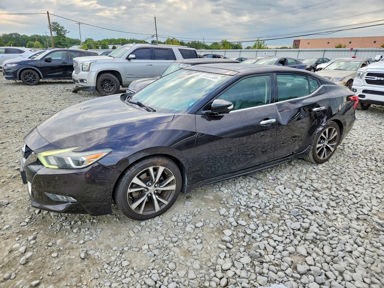 2016 NISSAN MAXIMA PLATINUM | 1N4AA6AP5GC387059 | UPCARS