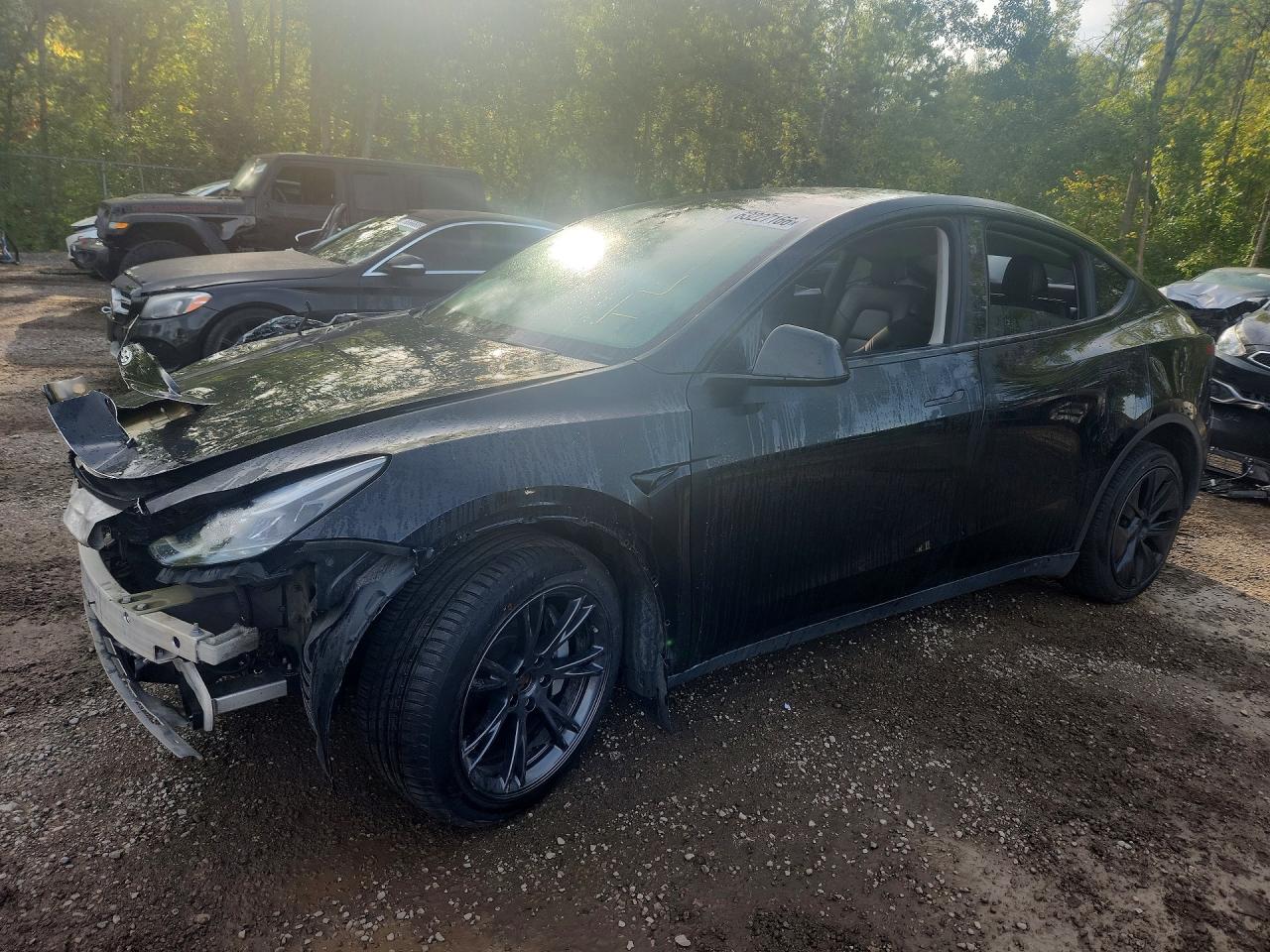 2025 TESLA MODEL Y | 7SAYGAEE1SF222613 | UPCARS