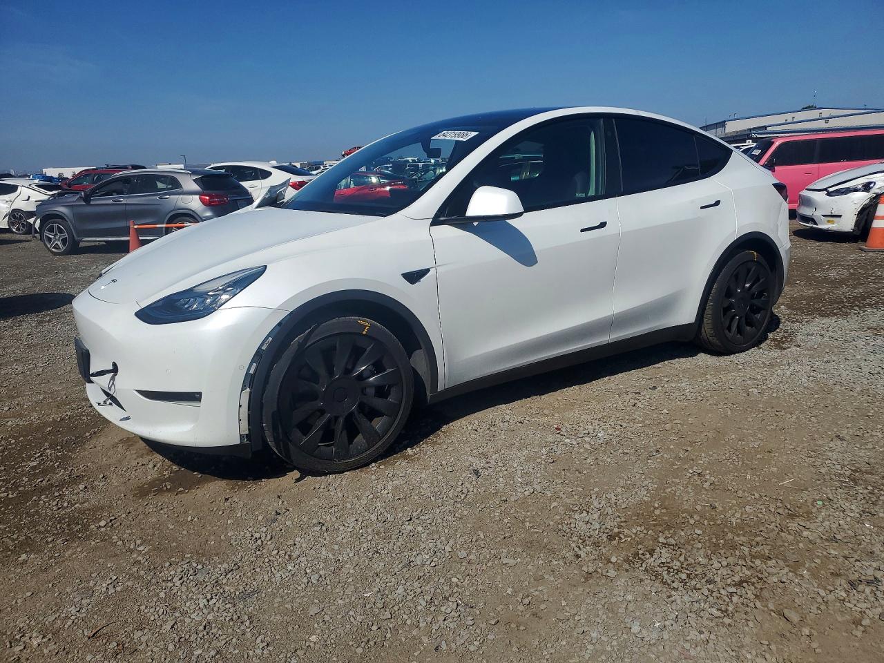 2021 TESLA MODEL Y | 5YJYGDEE9MF159097 | UPCARS