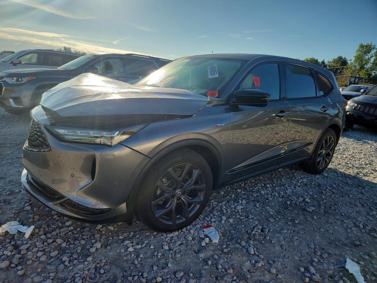 2024 ACURA MDX | 5J8YE1H01RL033939 | UPCARS