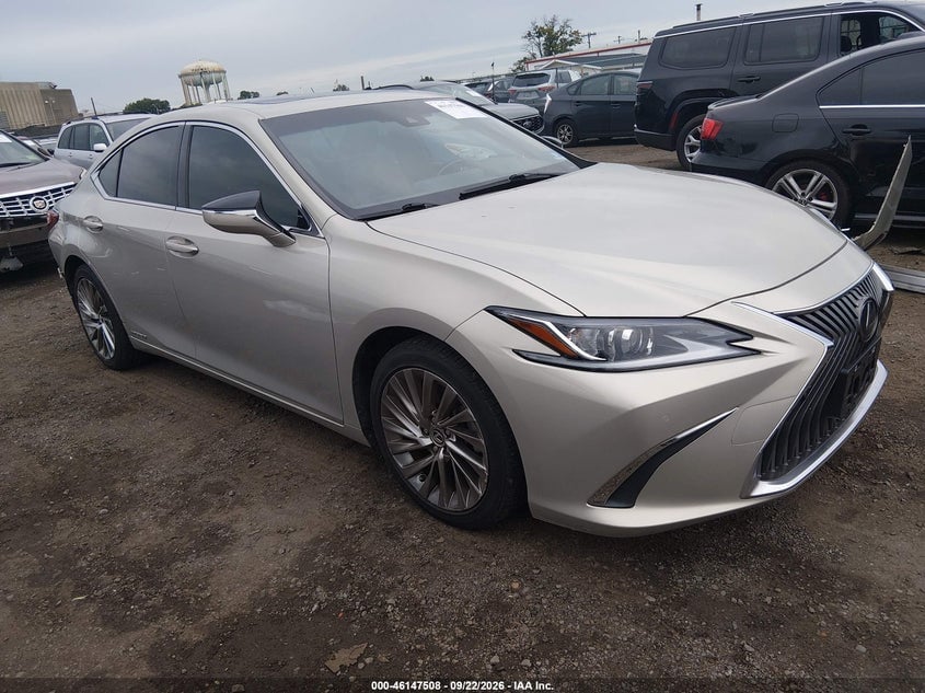 2019 LEXUS ES 300H LUXURY | JTHB21B11K2001260 | UPCARS