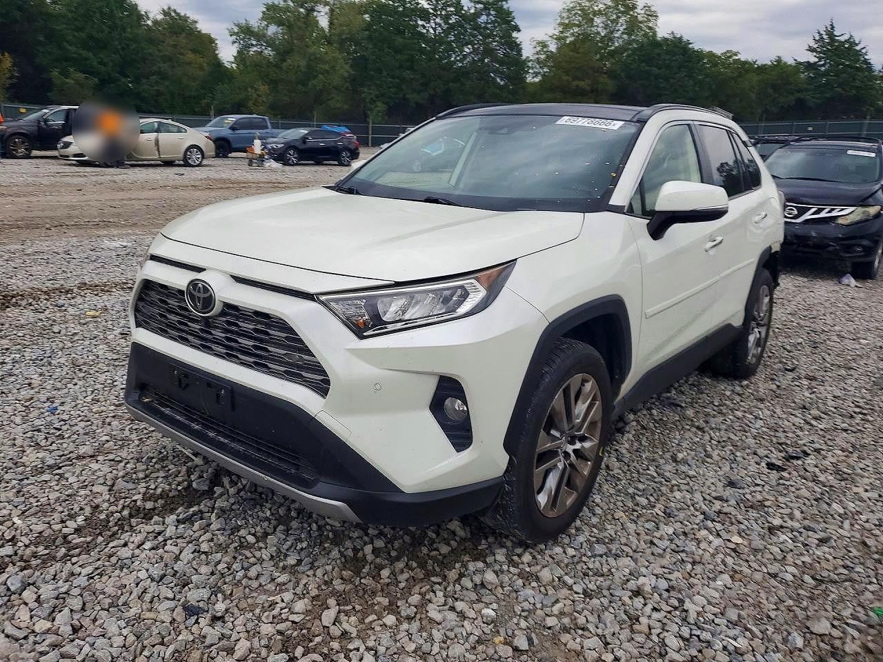 2019 TOYOTA RAV4 LIMITED | JTMN1RFV8KD517598 | UPCARS